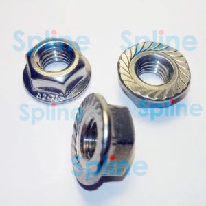 gayka-s-flancem1